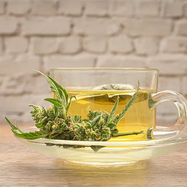 Tisane 100% CBD (Trim décarboxylée)
