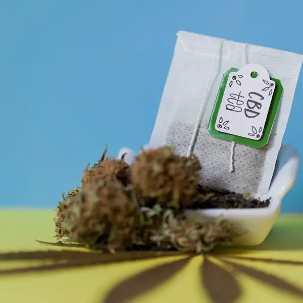 Tisane CBD/Menthe