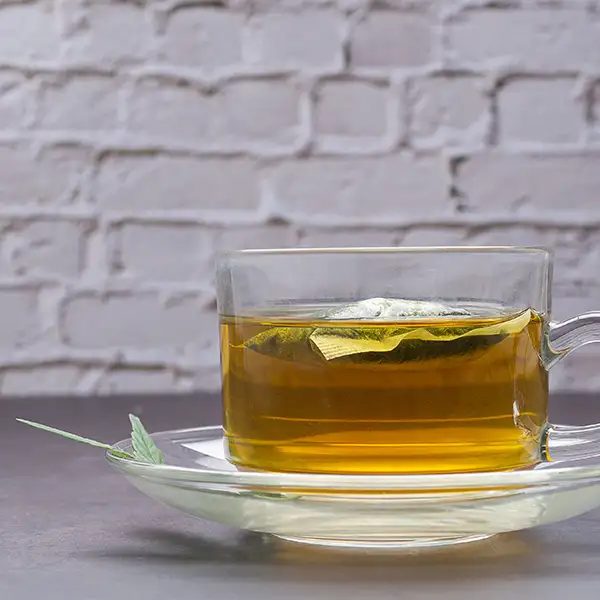 Tisane Menthe (66% de chanvre)